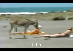 Una video gratis mature pompinare giovane donna con un petto trafitto per fare un pompino ad un amico.